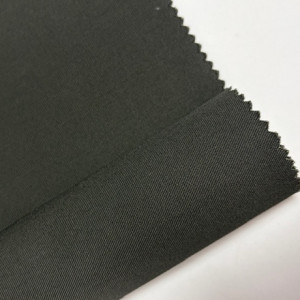 TR2456535-OLIVE - grafika produktu