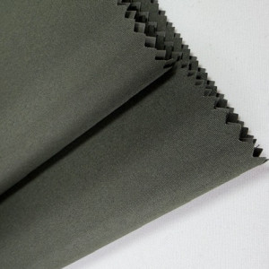 TASLAN OLIVE - grafika produktu